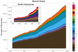 FamilyTreeDNA Y-DNA haplotree summary graph 2018-2021