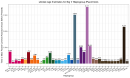 Median age estimates for Big Y haplogroup placements chart - granular breakdown