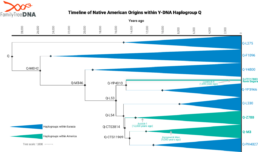Timeline of Native American Origins within Y-DNA Haplogroup Q