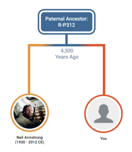 Notable Connections