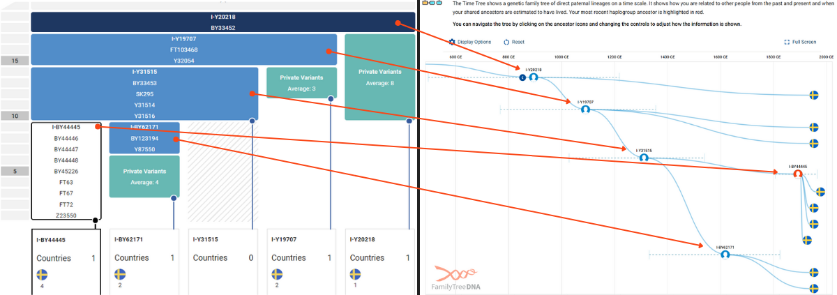 The Block Tree (a SNP based view) compared to the Time Tree (a time based view).
