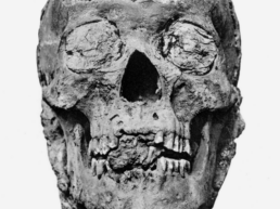 Amenhotep III - Believed to be King Tutankhamun’s (King Tut’s) father