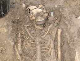 An image of one of the skeletons uncovered at Kilteasheen in Roscommon. The rock placed in the mouth was intentional, and occurred after death.