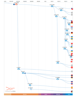 8 subclades of R-FGC14598 can be traced within the past millennium.