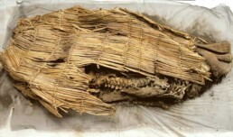 Spirit Cave Mummy remains still wrapped in material it was laid to rest in.