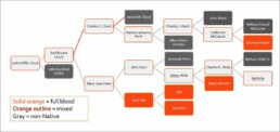 Janine Cloud Cherokee lineages
