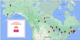 mtDNA Matches Map