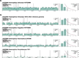 Non-competitive comparative mappings for the final reference sequence