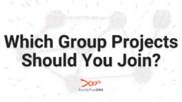 Which Group Projects Should You Join?
