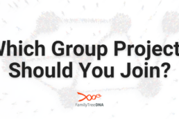 Which Group Projects Should You Join?