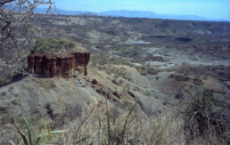 By Dan Lundberg - originally posted to Flickr as 1993 #161-14 Olduvai Gorge (Leakey), CC BY-SA 2.0,