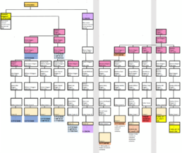 Figure 7: Summary of Y-DNA Testing Results for Men with the Surname Driggers