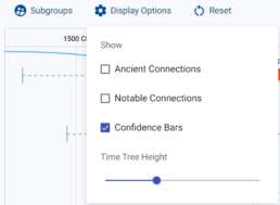 Display Options in the Group Time Tree