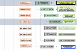 Figure 5: World Haplotree Segment Showing Relationship Between Perkins and Driggers Haplogroups “Est MRCA