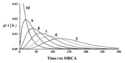 Bruce Walsh’s (2001) method for the original TiP report. This example uses 10 Y-STR markers and displays TMRCA in units of generations. The number of matching markers is shown on top.
