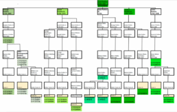 Figure 4: Summary of Y-DNA Testing of Descendants of Joshua 