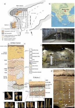 BK_Nature_Figure 1_03_12_19