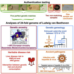 Graphical Abstract https://doi.org/10.1016/j.cub.2023.02.041