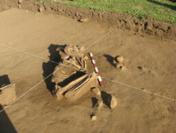 This individual from the site in Los Rieles in Chile is the oldest in the study Bernardita Ladrón de Guevara, 2008
