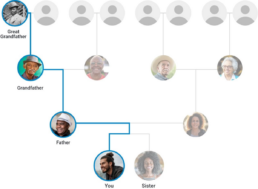 FamilyTreeDNA Y-DNA Direct Paternal Path