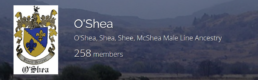 O'Shea yDNA Group Project