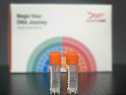 FamilyTreeDNA Test Kit and Two vials for sample.