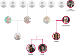 FamilyTreeDNA mtDNA Direct Maternal Path