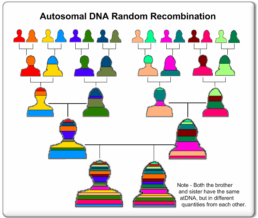 Source: Pritchard DNA Project (www.pritcharddnaproject.com)