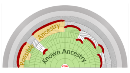 A Fan Chart with varying degrees of known, possible, and unknown ancestry.