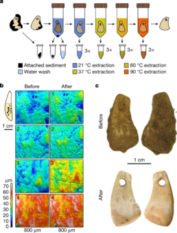Central Asian Ancient DNA - FamilyTreeDNA Blog