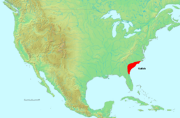 The Gullah People reside in the Lowcountry region