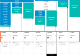 Block Tree Earliest Known Ancestor Information - FamilyTreeDNA Blog