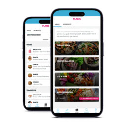 Custom Meal Plans Provide a Framework For Healthy Eating - FamilyTreeDNA Blog