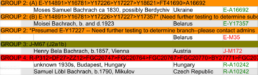 You can see in the orange, olive green, and red strips below, that we have a few Bacharachs in the E haplogroup, a different J2 haplogroup, and the R haplogroup.