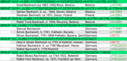 The snapshot above of the Y-DNA public results display shows a small portion of the members of the Project and their Earliest Known Ancestors (EKA).