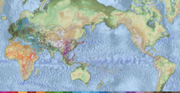 Pictured: 48,000 Globetrekker migration paths showing human migrations across all populated continents of the world over a time span of 200,000 years, colored by Y-DNA haplogroup