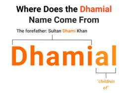 Dhamial Surname Origin