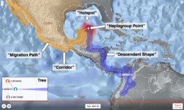 Globetrekker migration C-BY63635 - Globetrekker The Latest Advancement in Y-DNA Research