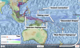 Globetrekker migration O-BY66844 - Globetrekker The Latest Advancement in Y-DNA Research