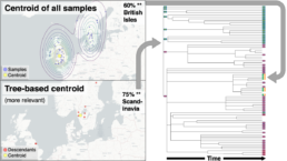 Plotting Centeroids - Using Immediate Downstream Branches For More Accurate Haplogroup Locations