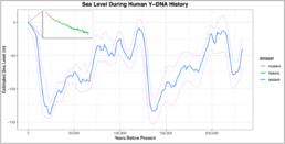 Sea Level During Human Y-DNA History - Modeling the Past Environment that Influenced Human Migration
