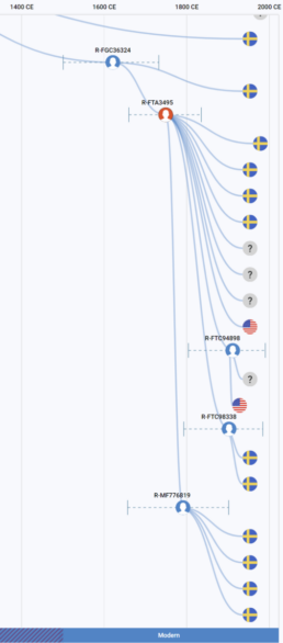 Screenshot of FamilyTreeDNA Discover™ Time Tree for Y-DNA haplogroup R-FTA3495