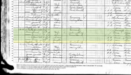 Picture of 1880 census records of Wade Bankston living with his sister Louisa Bankston McCall