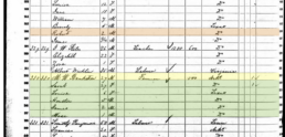 Picture of the handwritten census record with Wade/Mose