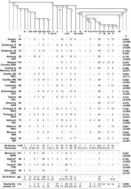 Figure 1: Y-Chromosomal Haplogroups in Iberian, North African, and Sephardic Jewish Samples Binary marker phylogeny of the Y chromosome, showing mutations on the branches of the tree, and shorthand haplogroup names40 immediately beneath. Haplogroups unobserved in any sample are indicated by dashed branches on the tree. Below the phylogeny are given the percentages of chromosomes carrying the observed haplogroup. Abbreviations are as follows: n, sample size; h, Nei's unbiased estimator of gene diversity. Data on North African populations are from the literature (see footnotes). a Data from Bosch et al.34 b Data from Arredi et al.,47 with haplogroup prediction for hgG.