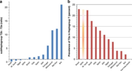 Figure 2: Prevalence of subhaplogroup T2e in different regional data samples. (a) The proportion of T2b to T2e in each population. A ratio of 1 (horizontal axis) reflects equal incidence of T2e and T2b, values 1 indicate greater incidence of T2b than T2e. (b) The incidence of T2e as a percentage of all haplogroup T present in the study. Abbreviations: Saudi=Saudi Arabia, W Saudi=West Saudi Arabia, SEPH (shown as lighter shaded bars)=Ottoman Sephardic, ASH=Ashkenazi, Nat Gen=National Genographic Project, Brit=British and Irish Isles, J=Jewish.