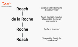 Surname spelling variations for 