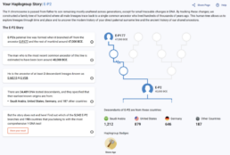 Discover Haplogroup Story for E-P177 and E-P2