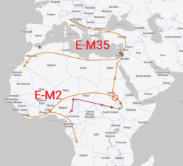 FamilyTreeDNA Discover™ Y-DNA Migration Map showing the split (circled) between the E-M2 lineage (West) and the E-M35 lineage (North)