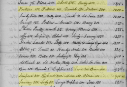 My ancestors Fortune’s and Lena’s families at Pinckney Island, 1826, in Charles Cotesworth Pinckney’s Estate Inventory 1826.